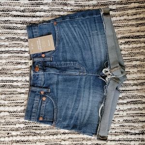 Madewell Blue High Rise Denim Shorts Size 24